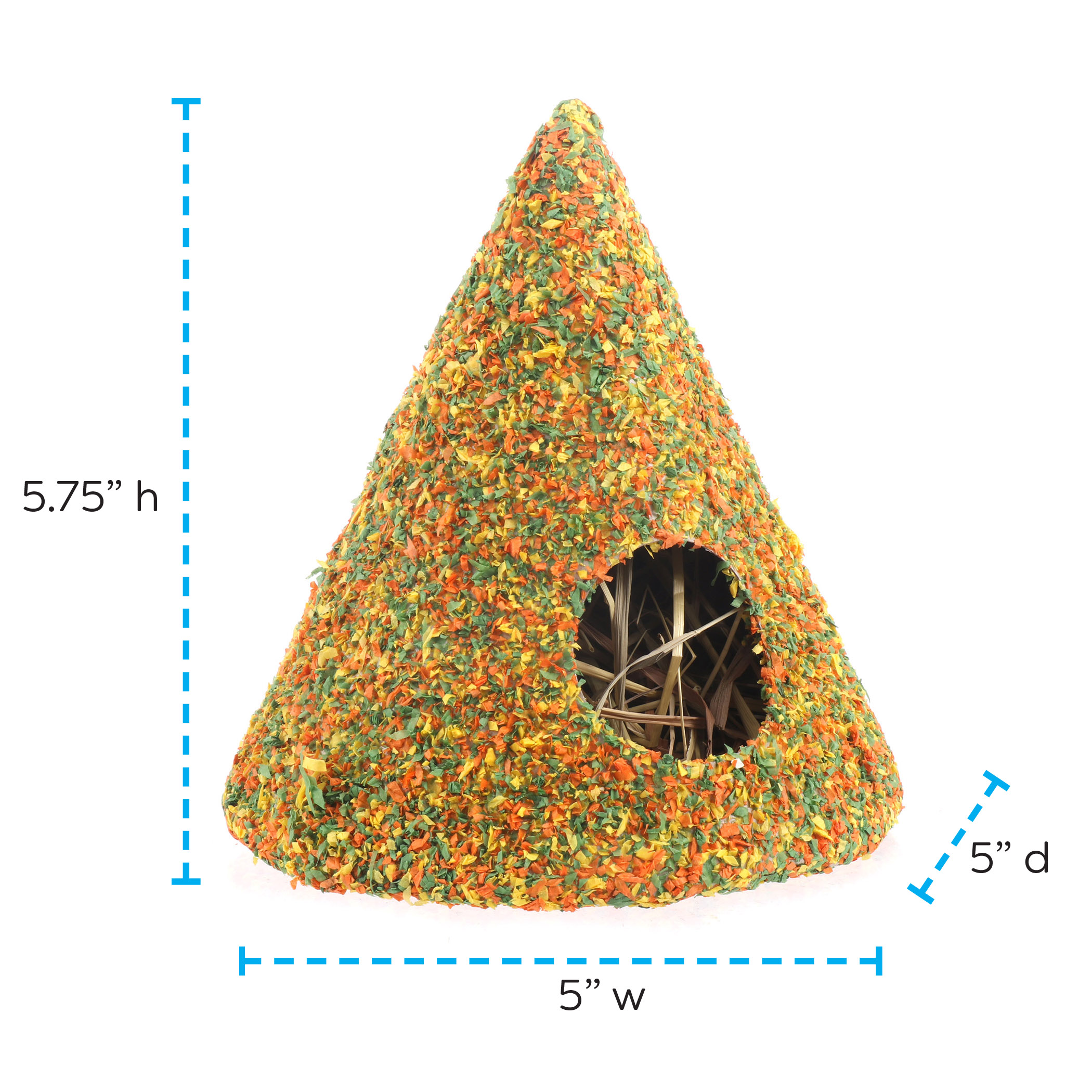 Health-E Cone (with Timothy